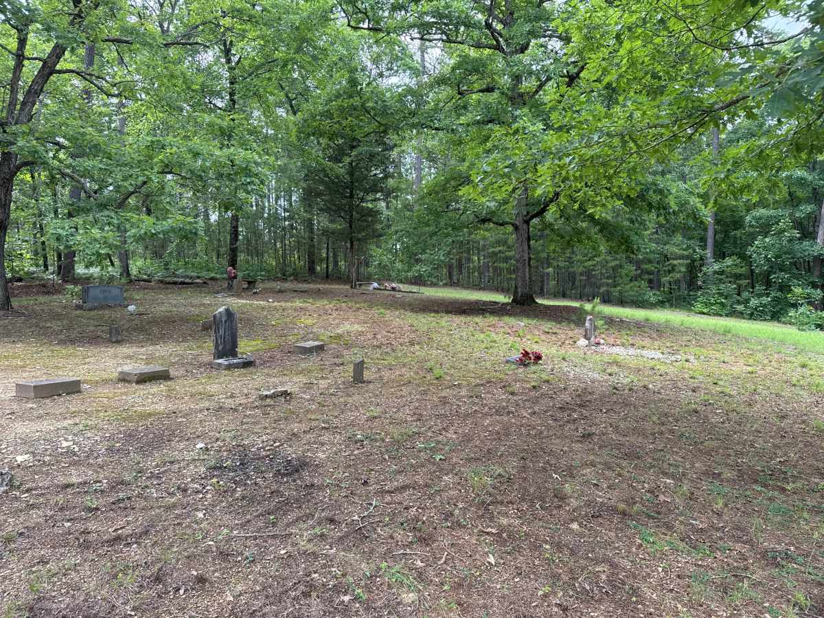 Old Piney Cemetery photo 4
