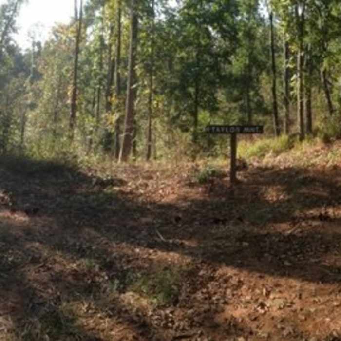 Near Taylor Mountain Trail