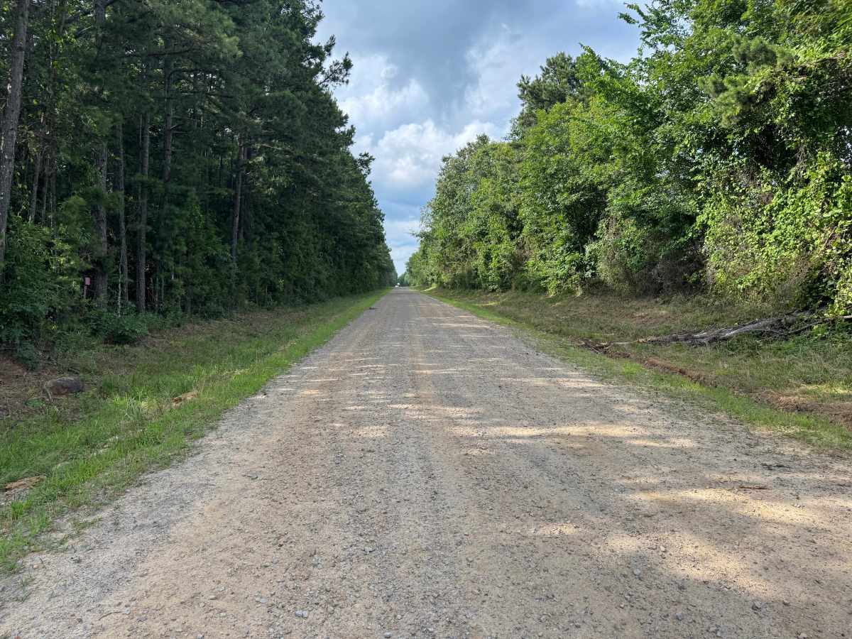 County Road 3851 photo 5