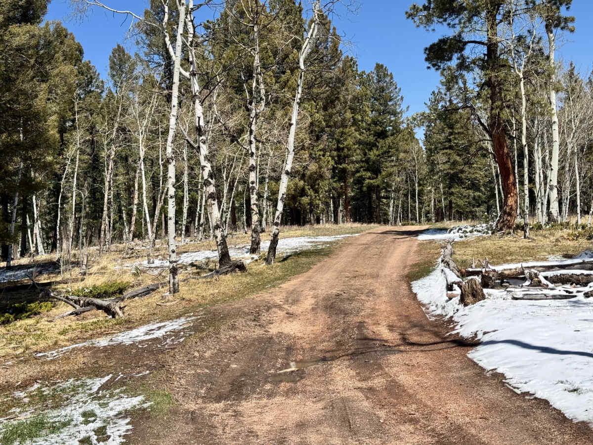 Crazy Gulch Road - FS 375 photo 5