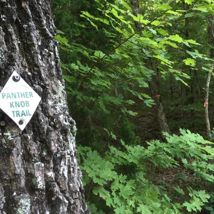 Near Toll Gate Trail