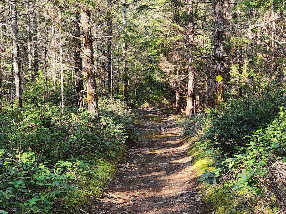 Loop Trail photo 3