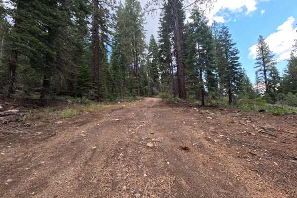 Deep Creek - FS 89-015