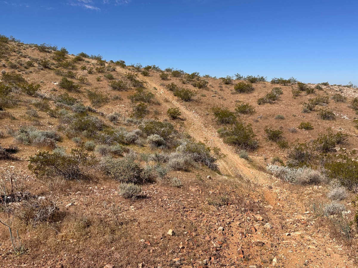 Desert Divide photo 2