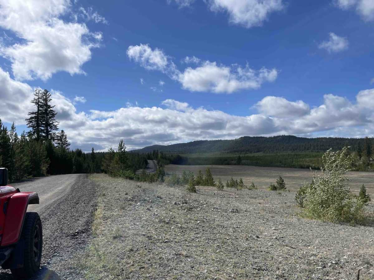 Loon Lake Rd photo 4