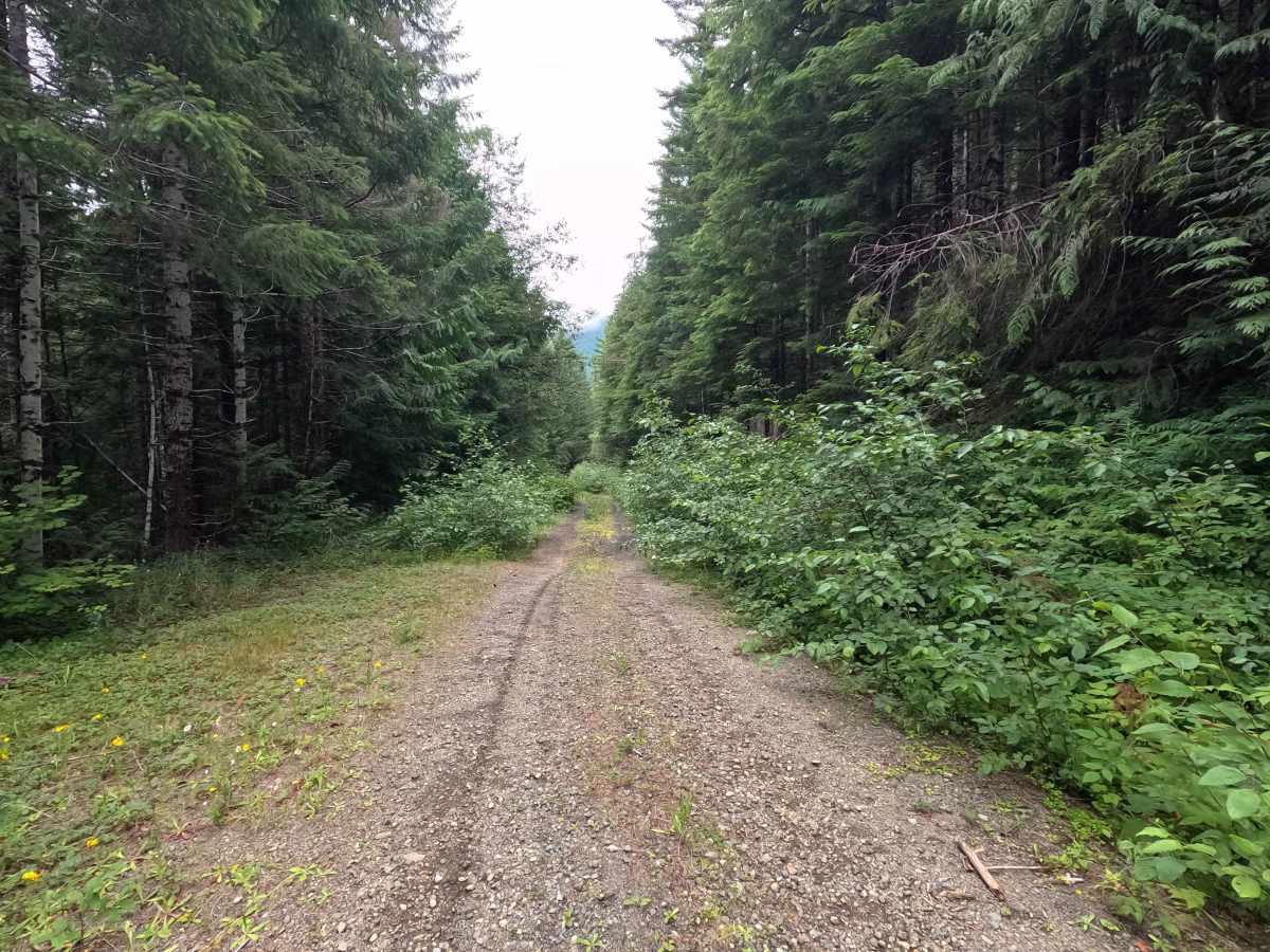 Church Creek East Trailhead - FS 2361600 photo 5