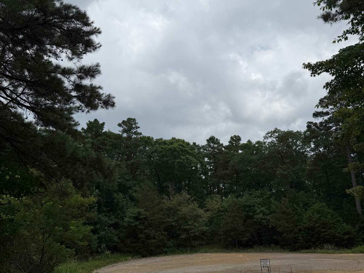 Round about camp trail photo 6
