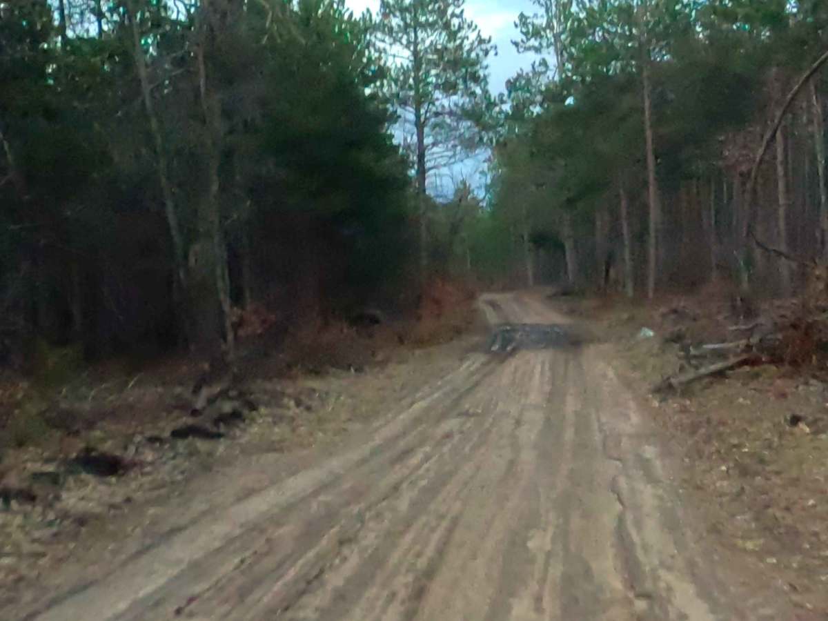 FS 4873 trail photo