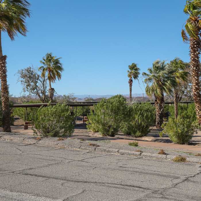 Near Shoreline Trail