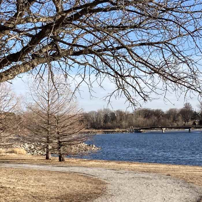 Near Holmes Lake Loop Trail Near Holmes Lake Loop Trail