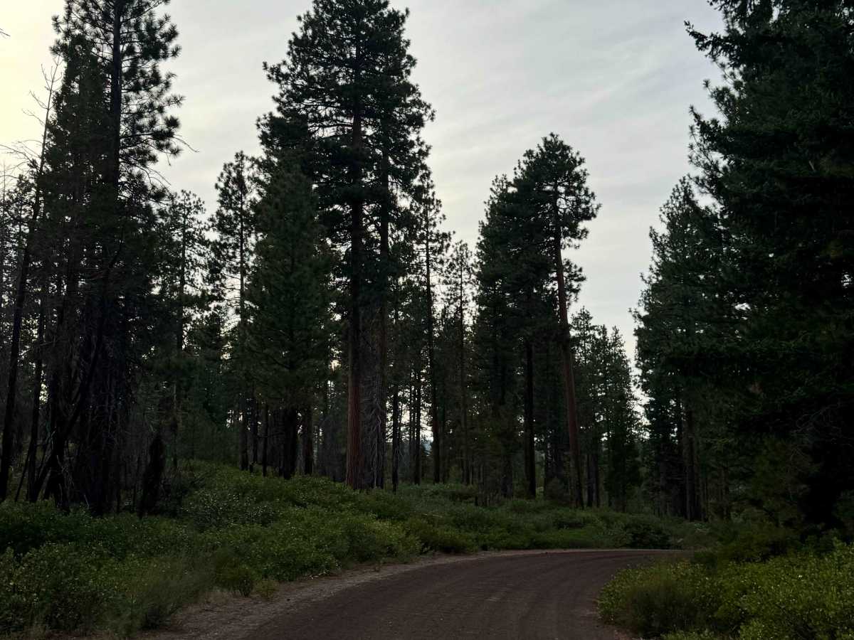 FS 1140 photo 3