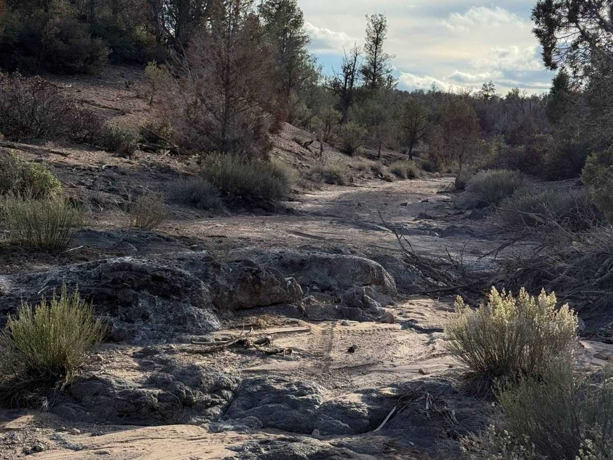 Adra Loop  trail photo
