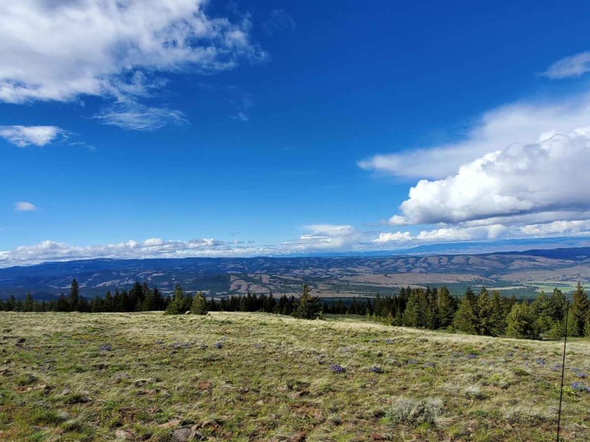 Cleman Mountain photo 4