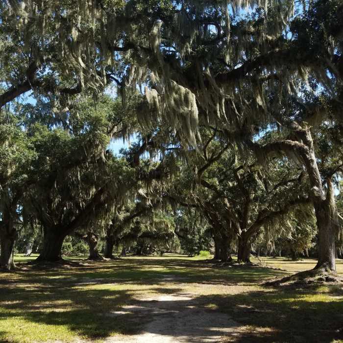Near Fountainbleau Trail System