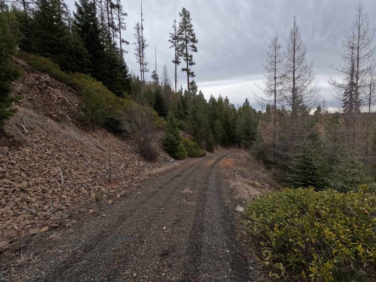 Swale Trail - FS 2107 photo 3
