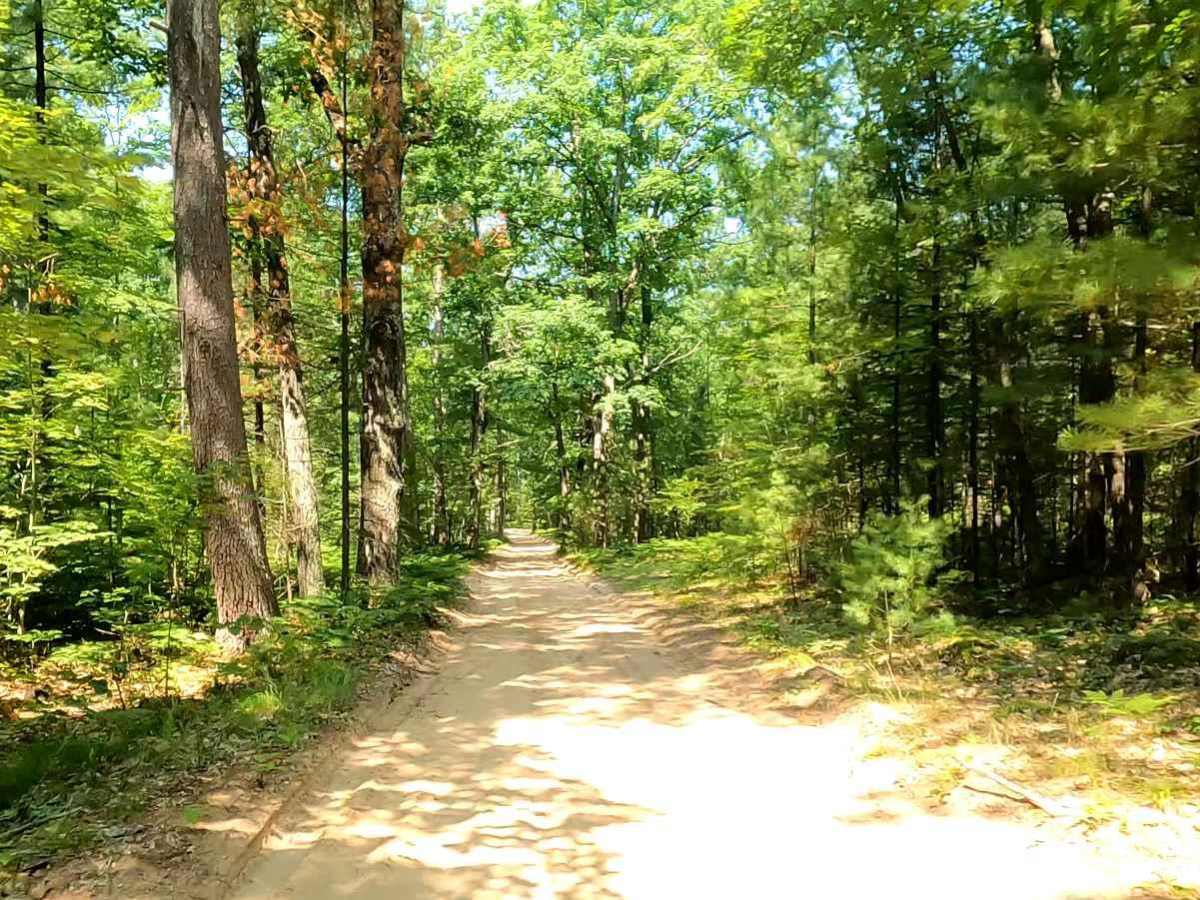 North Missaukee Route & MCCCT Trail/Africa Loop photo 3
