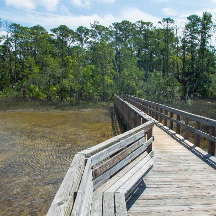 Near Sandpiper Loop Nature Trail