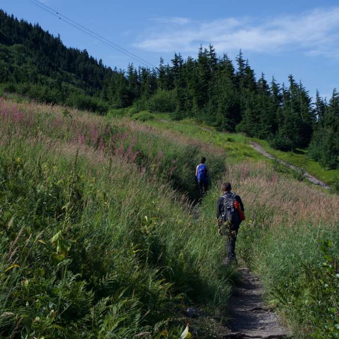 Near North Face Hiking Trail