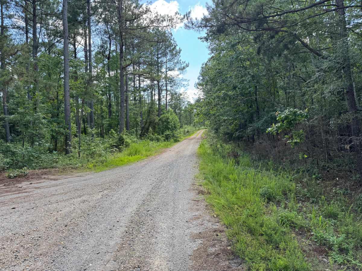 South Fork Road photo 3