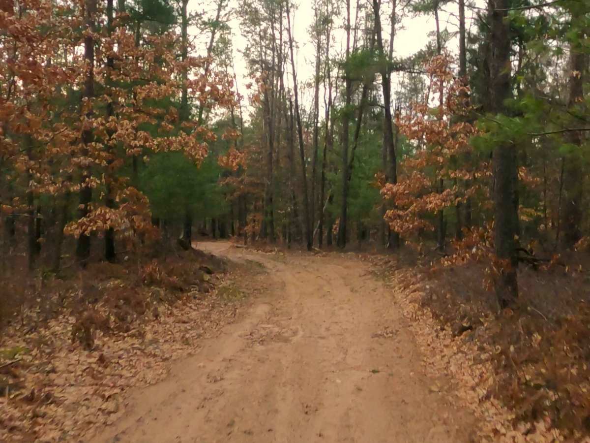 ORV H57 : Mack- McKinley Trail photo 5