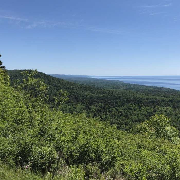 Near Oberg Mountain Trail #71080