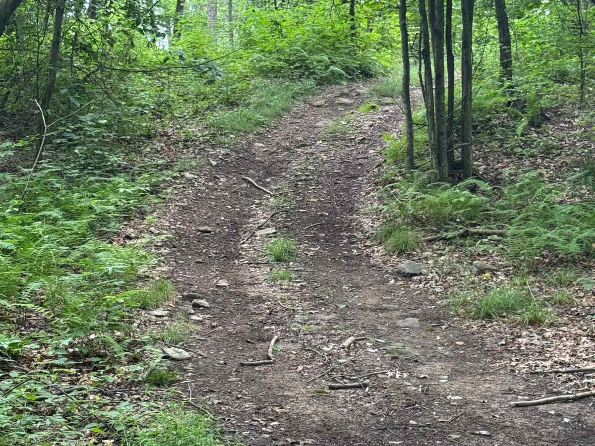 Trail 76 photo 2