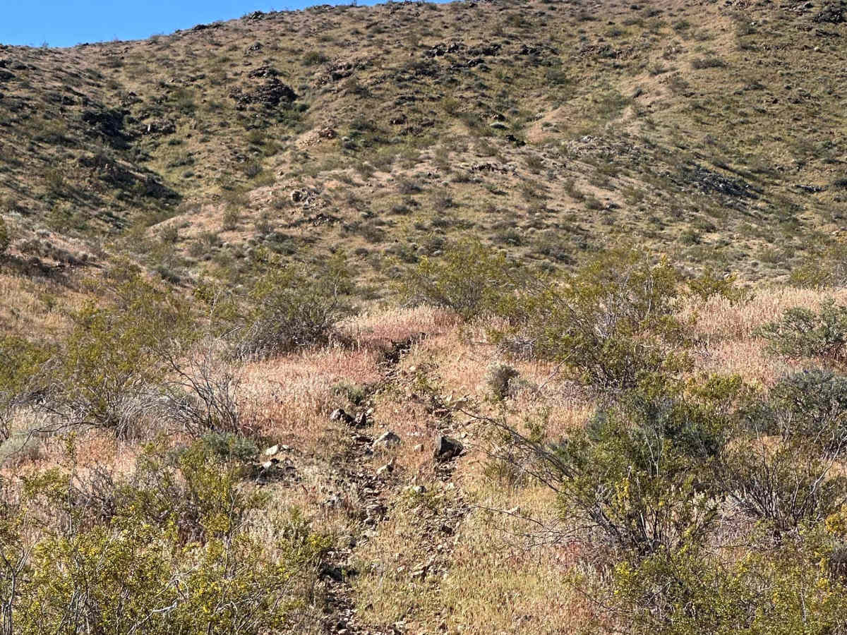 Rimrock Trail photo 3