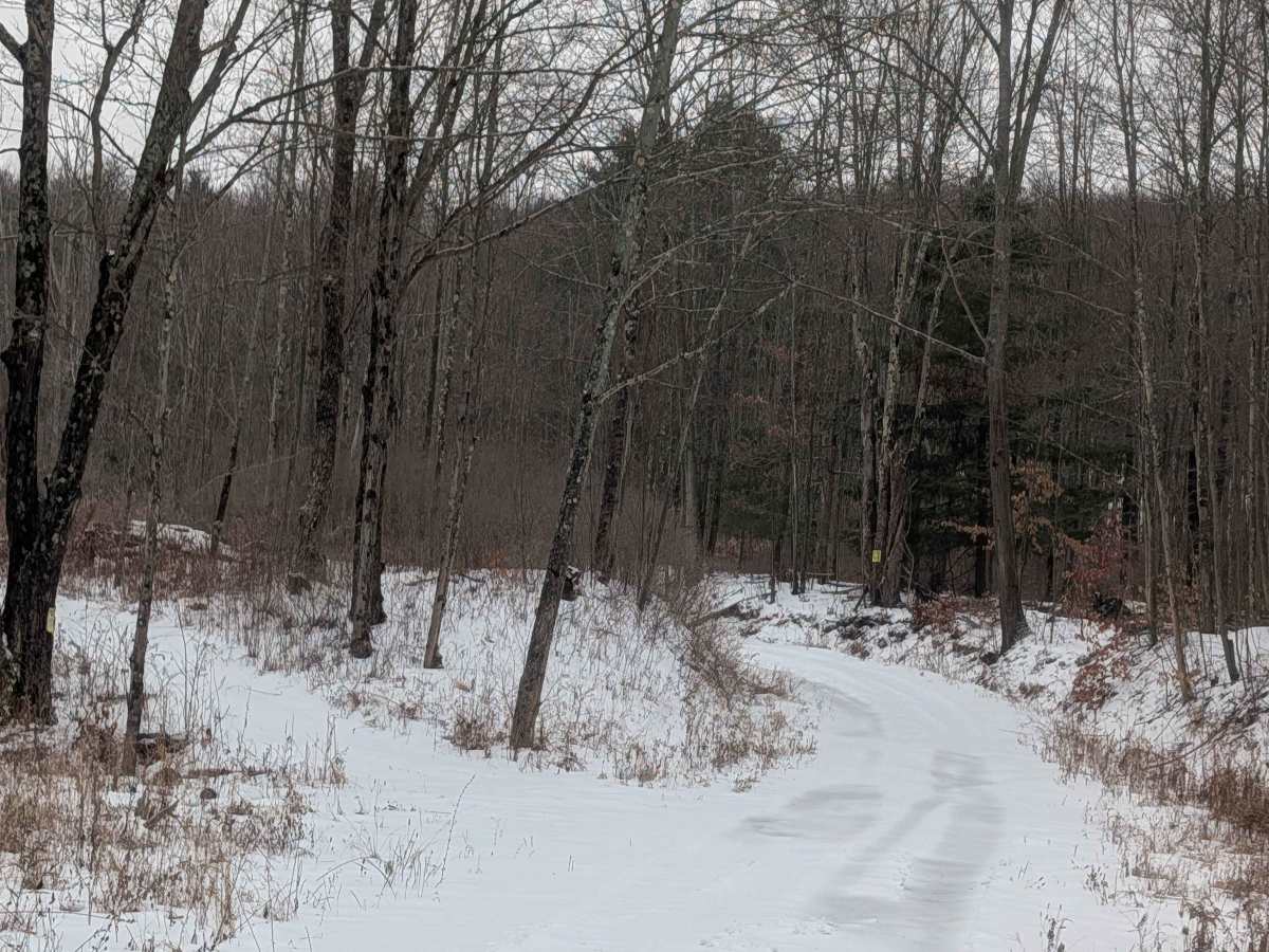 Hakes Road photo 4