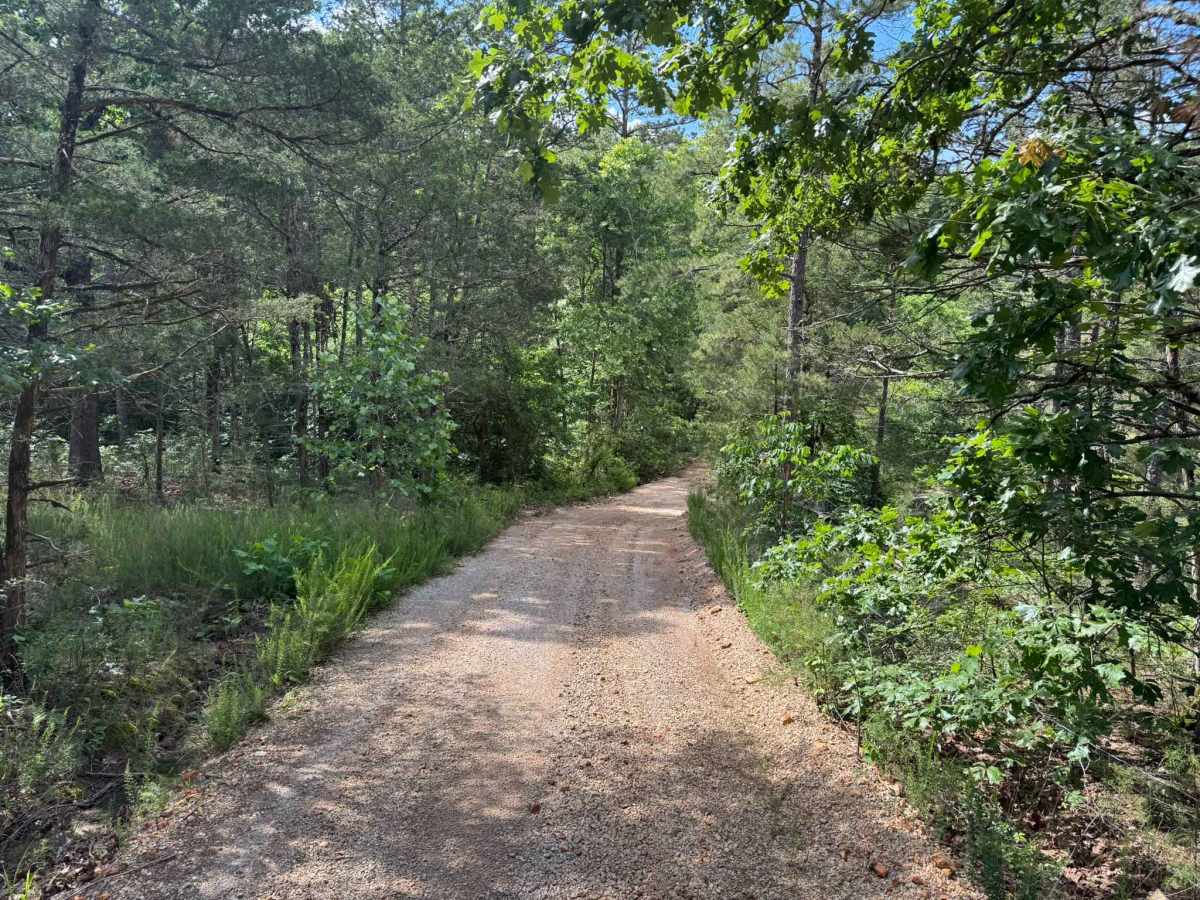 Forest Home Lane trail photo