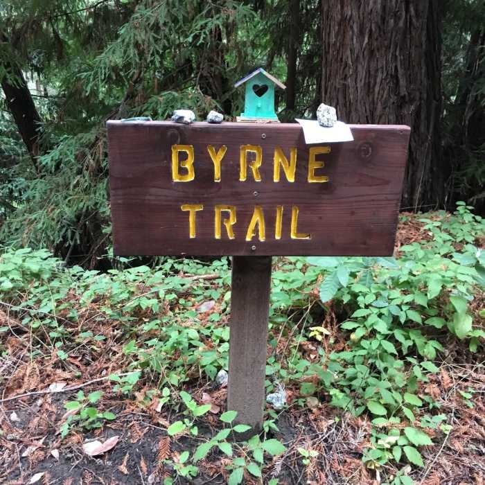 Near Byrne Trail