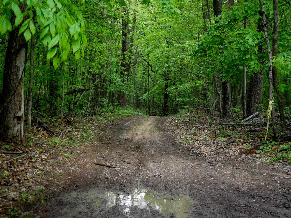 Trail 9 photo 5