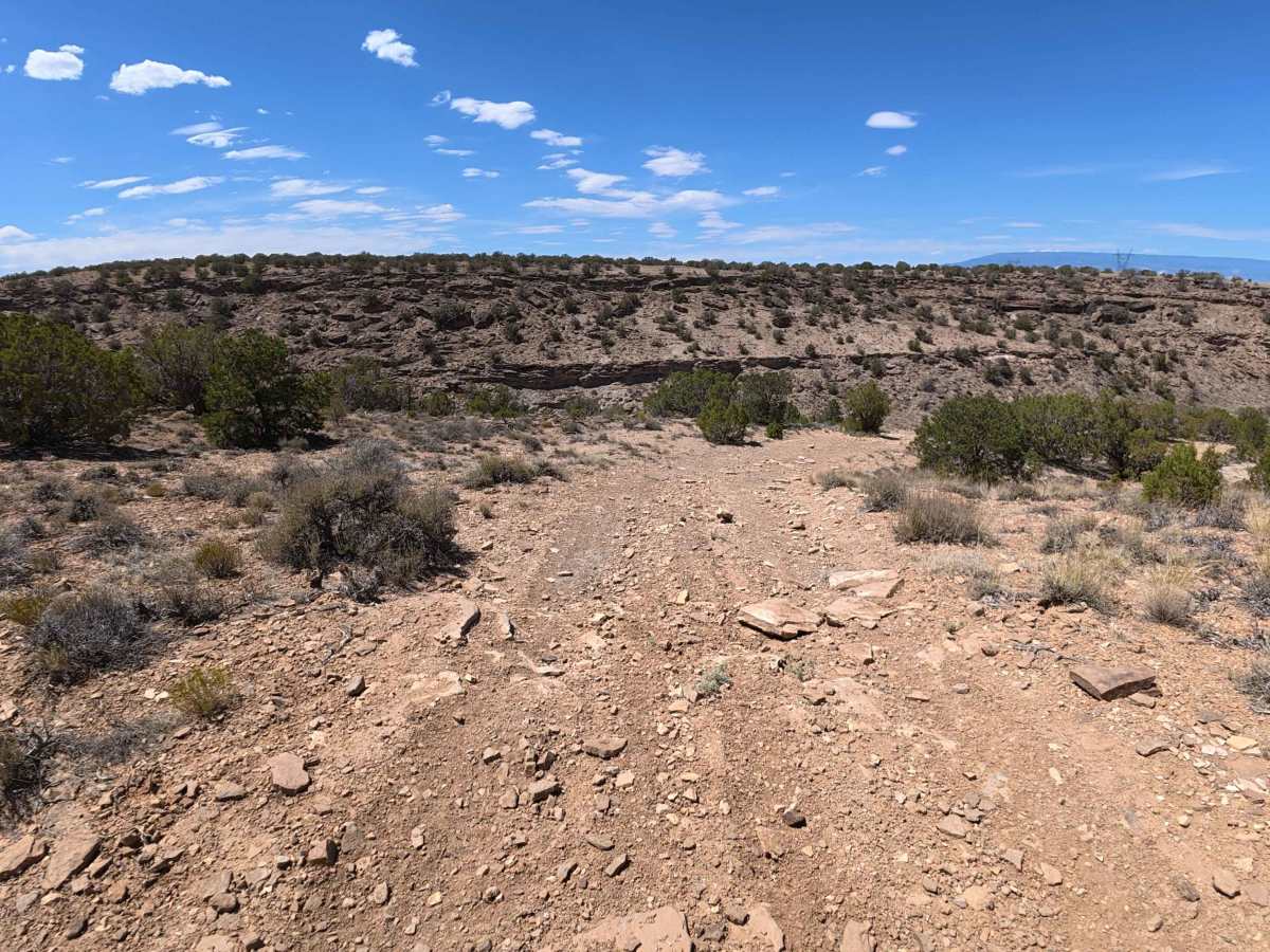 Tower Loop trail photo