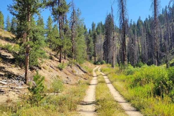 Skyline Trail