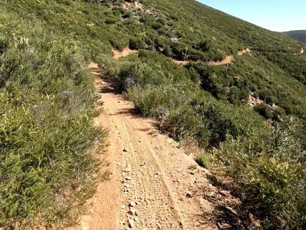 Ridge Trail photo 6