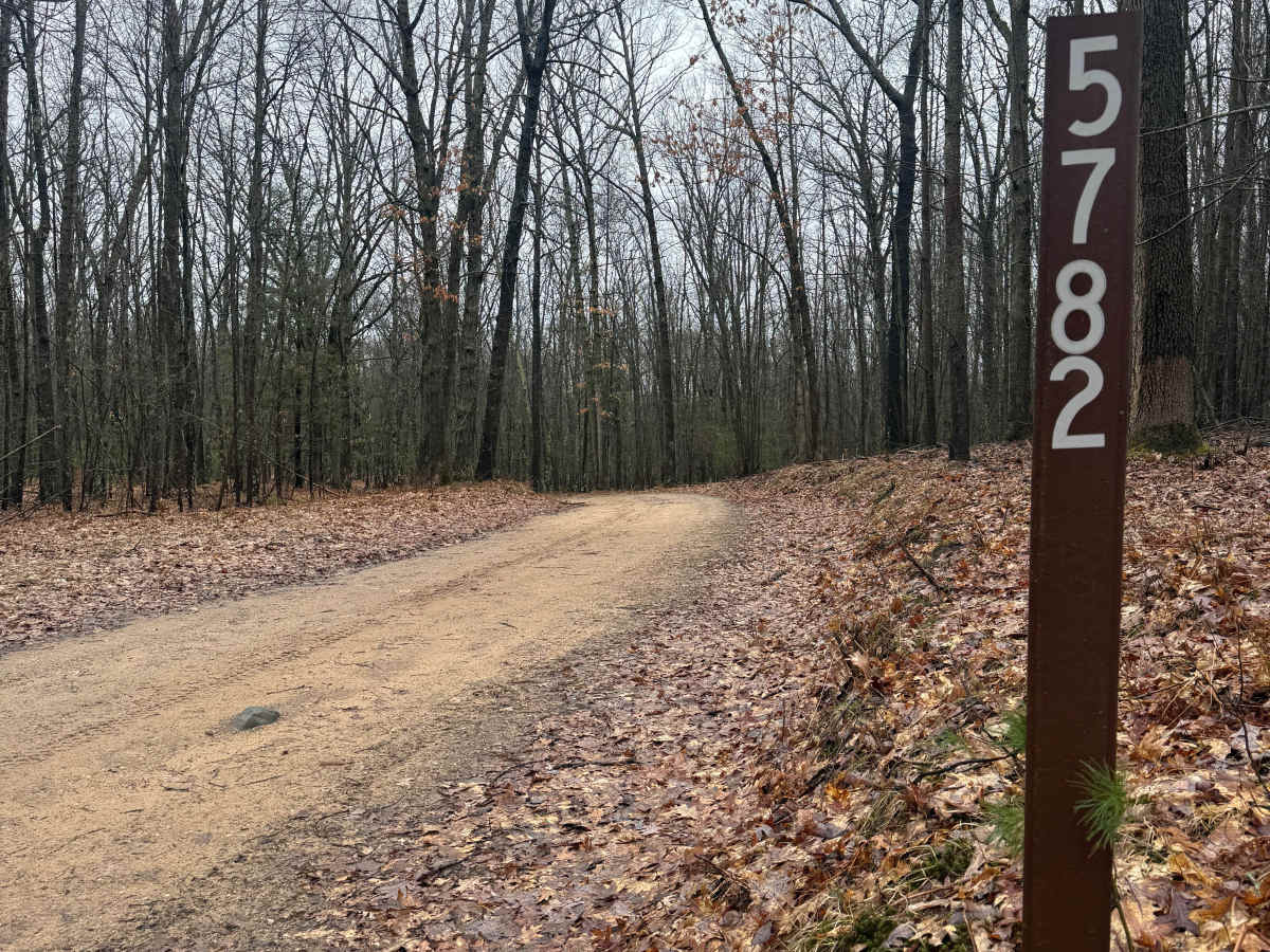 FS 5782 trail photo