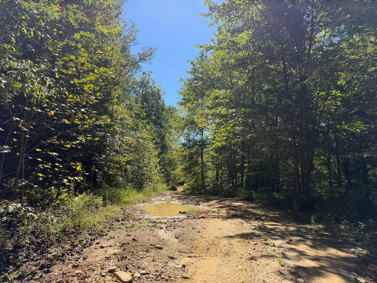 44 trail photo