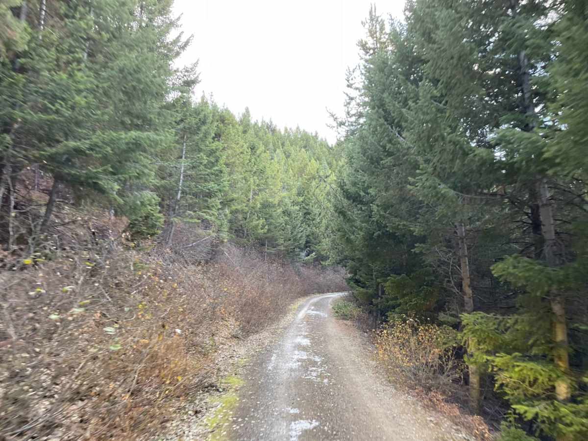 Woods Ridge Loop trail photo