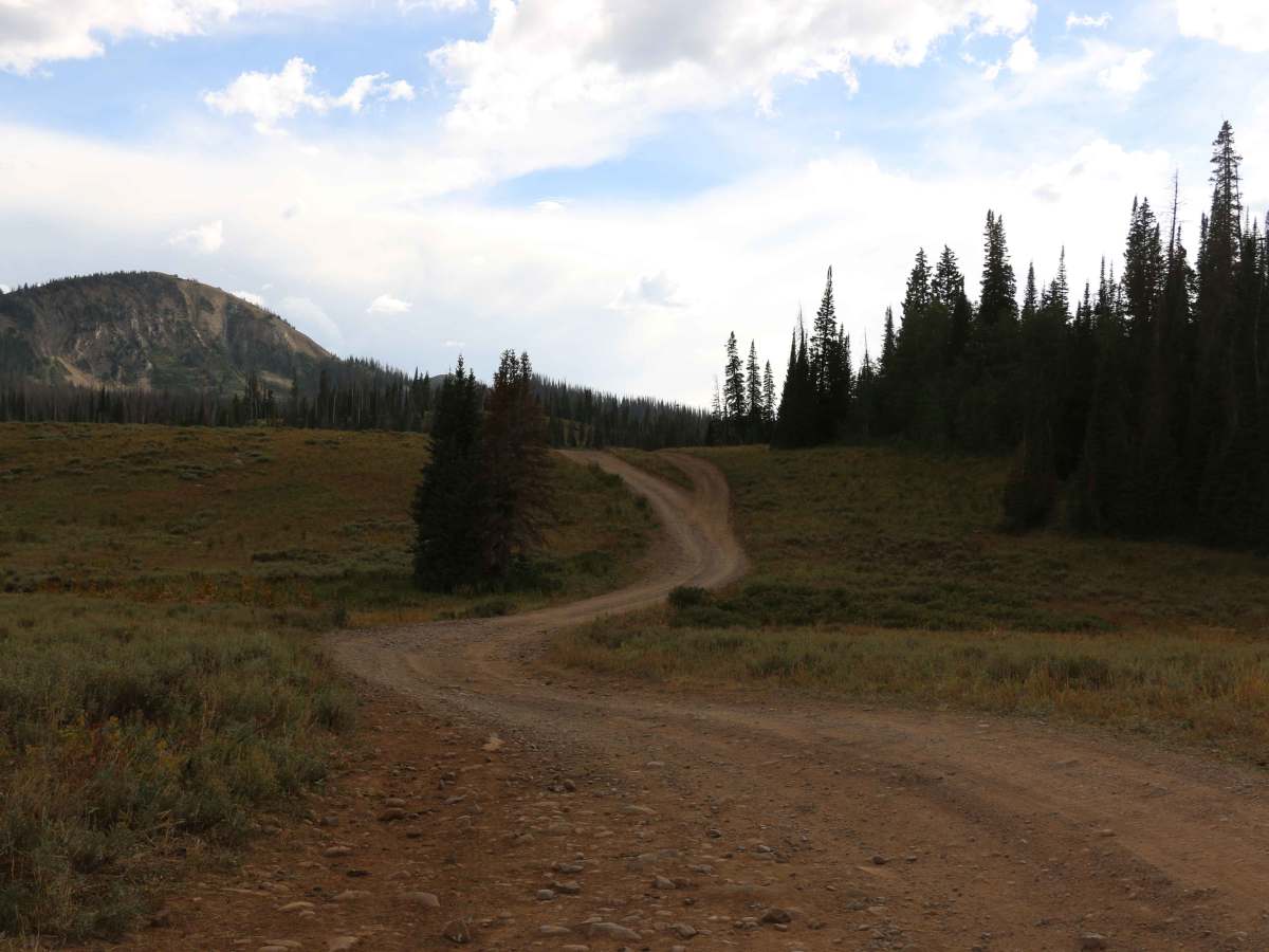 Whitney Reservoir - FS 80069 trail photo
