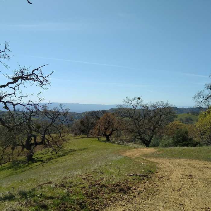 Near Manzanita Trail