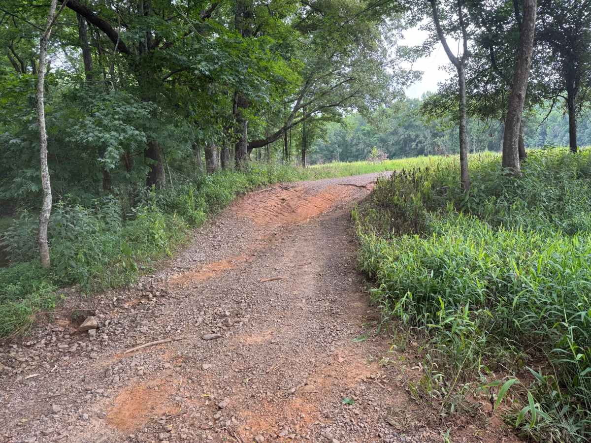 County Road 88 photo 3
