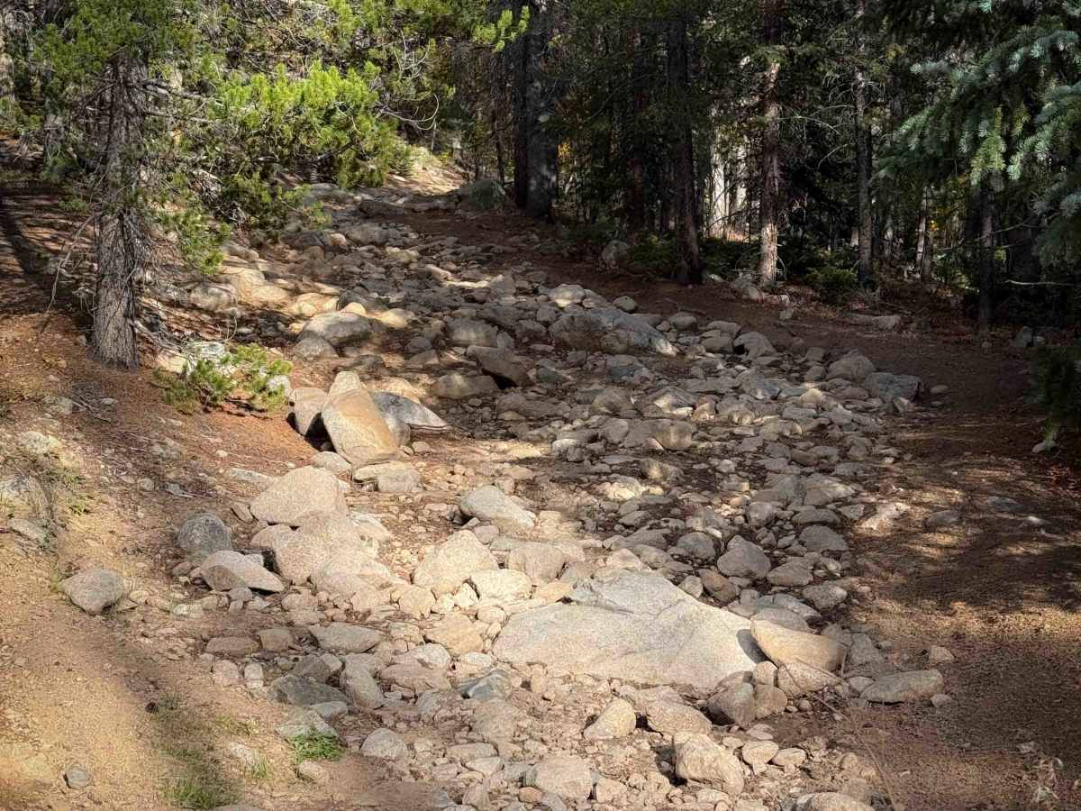 South Quartz Trail - FS 483 photo 4