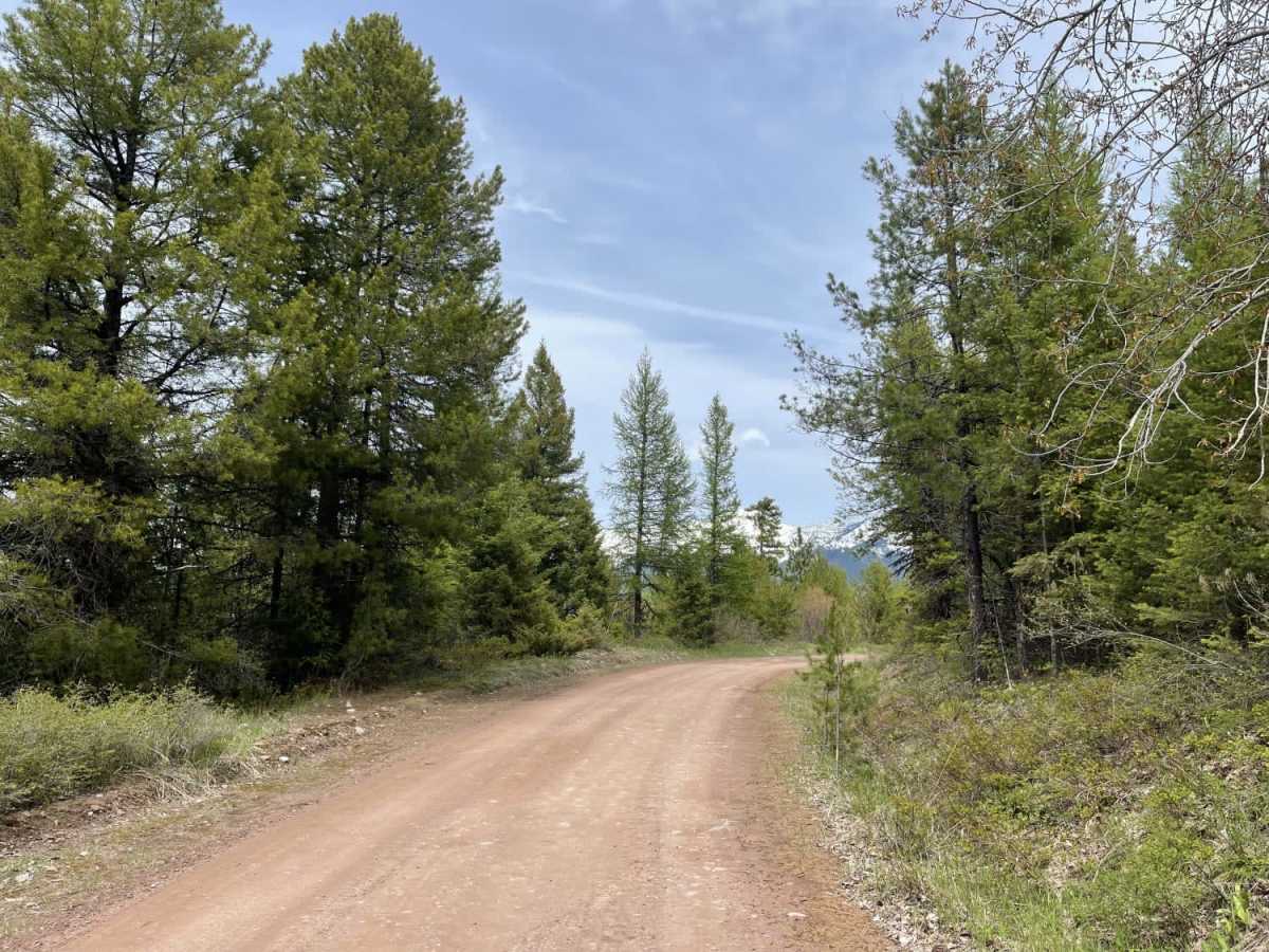Owl Creek Loop photo 5