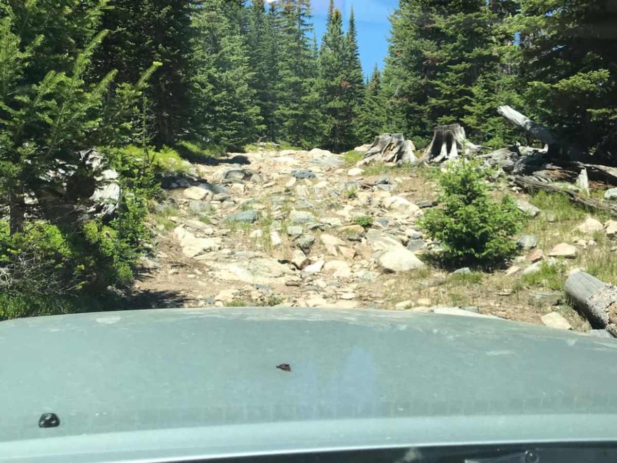 Pearl Beaver to South Pearl  Beaver trail photo
