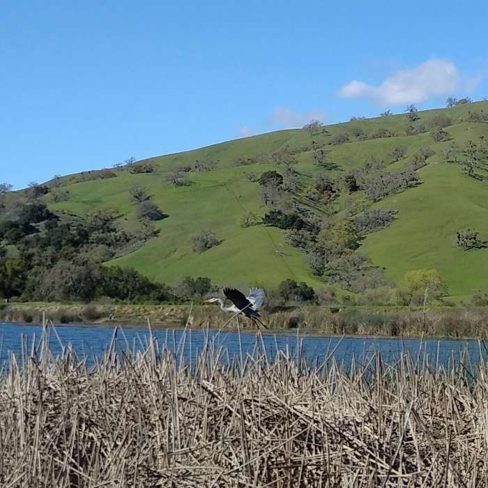 Near Grant View Loop
