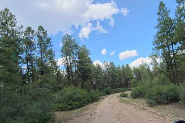 Cabin Rim Road