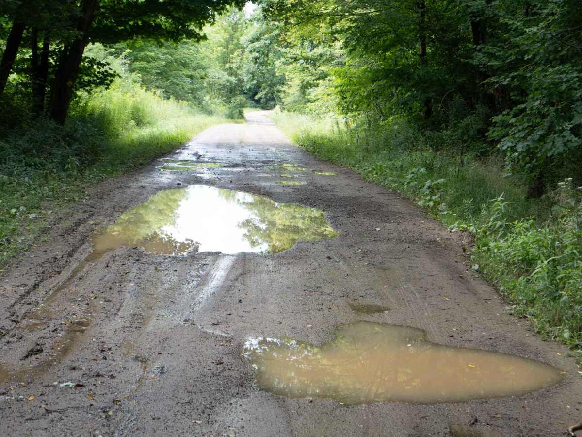Bay State Road trail photo