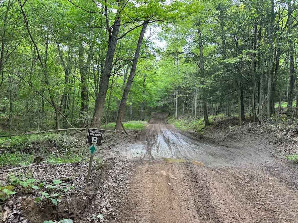 B Green B2 B5 B6 trail photo