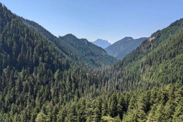 Hamma Hamma Trail with View of The Brothers