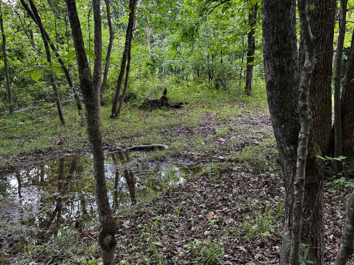 Hillside Trail trail photo