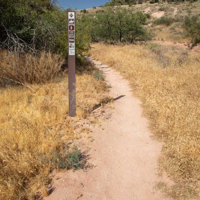 Near Coconino Trail
